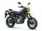 Kawasaki KLX 300SM